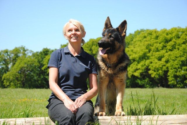 Protection Dog Trainers | Family Protection Dog suppliers | K9 ...