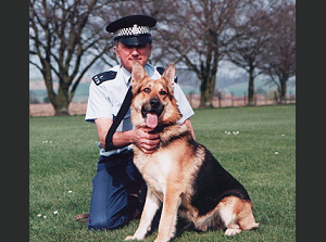 Protection dog trainer Bob Pocock