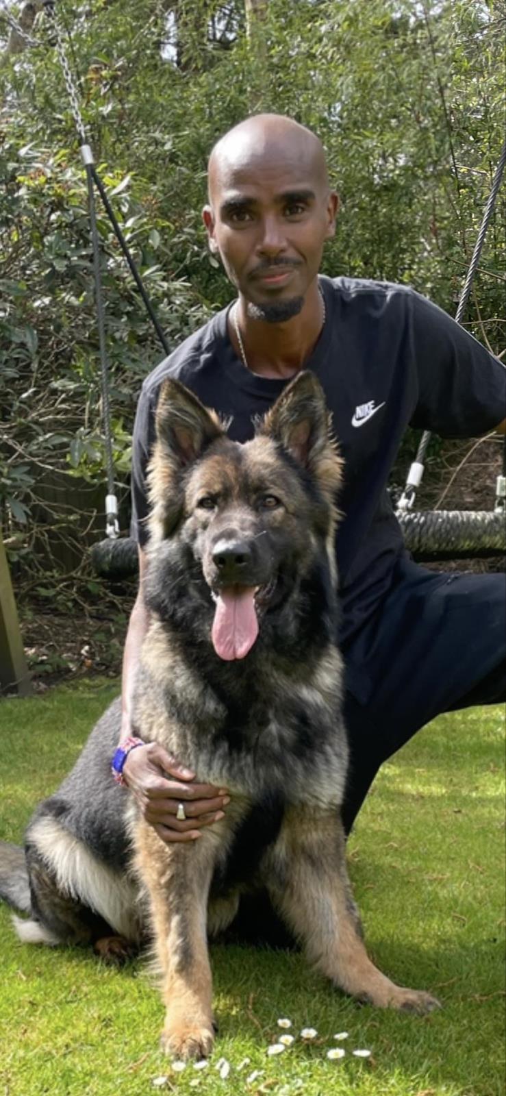 Mo Farah and Family Protection Dog from K9 Protector